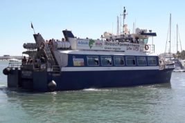 Acquabus: il ferry economico