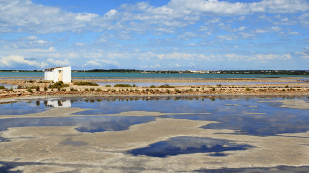formentera saline