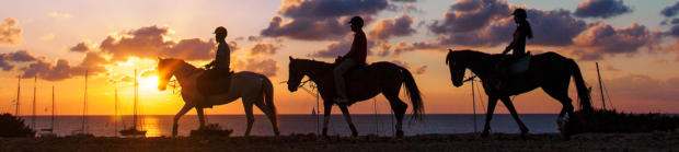 escursioni Formentera