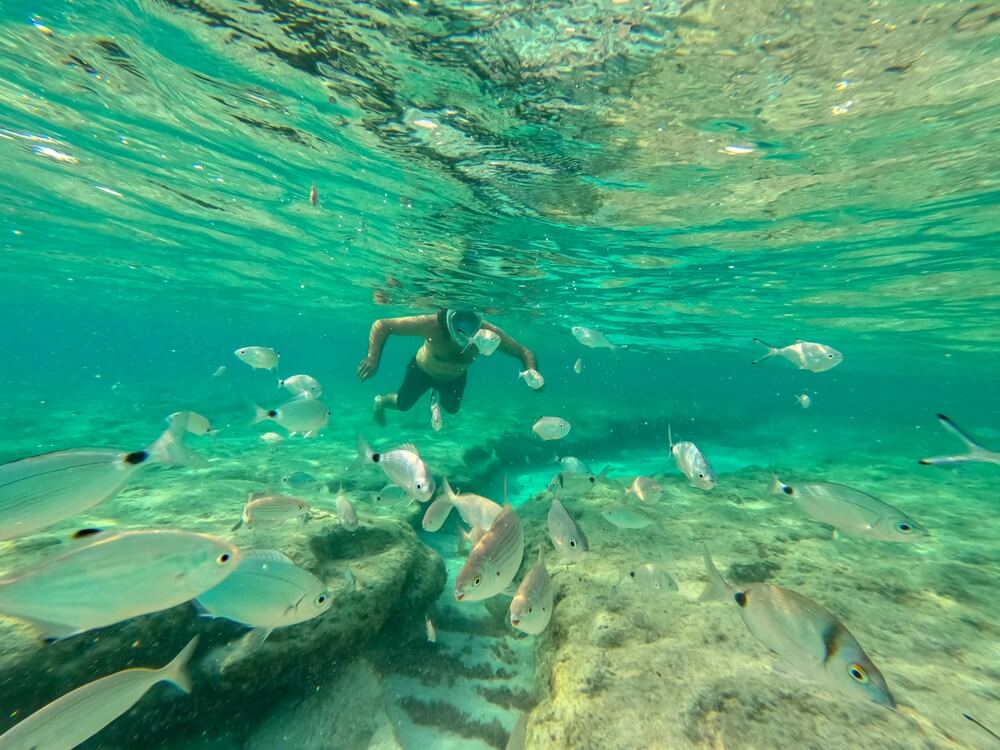 Formentera snorkeling