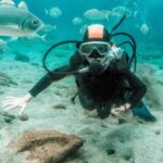 Snorkeling a Formentera